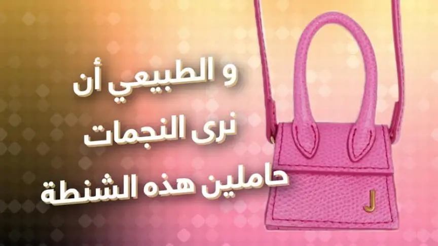ماذا يمكن تسع  ال  MICRO BAG ؟