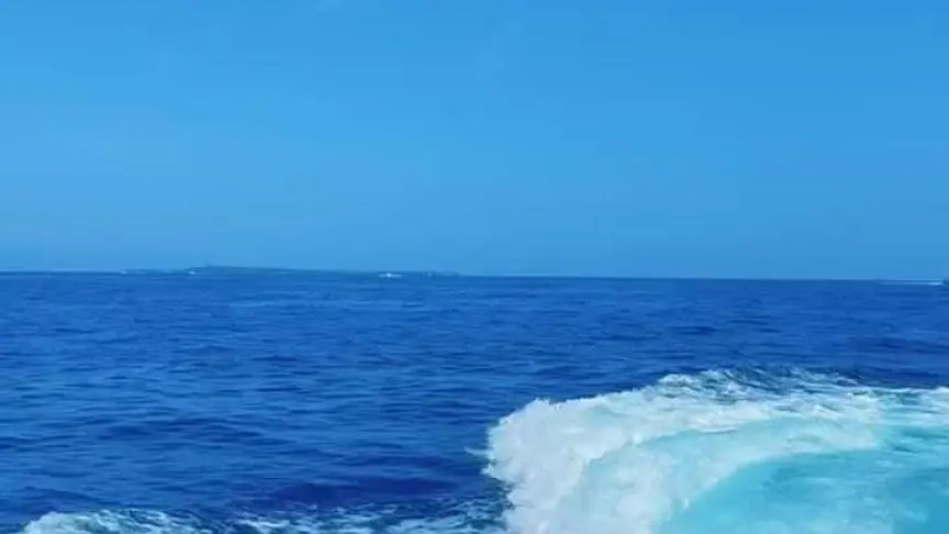 رحلة أحمد سعد و ويل سميث و جوني ديب