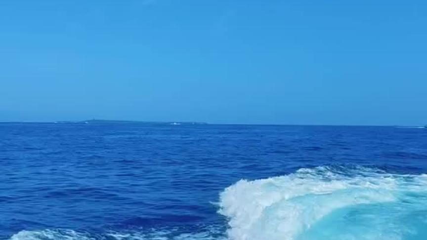 رحلة أحمد سعد و ويل سميث و جوني ديب