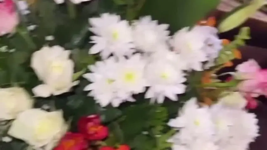 دنيا بطمة