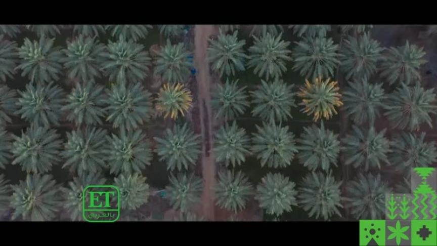 بدر آل زيدان دليل سياحي في السعودية 