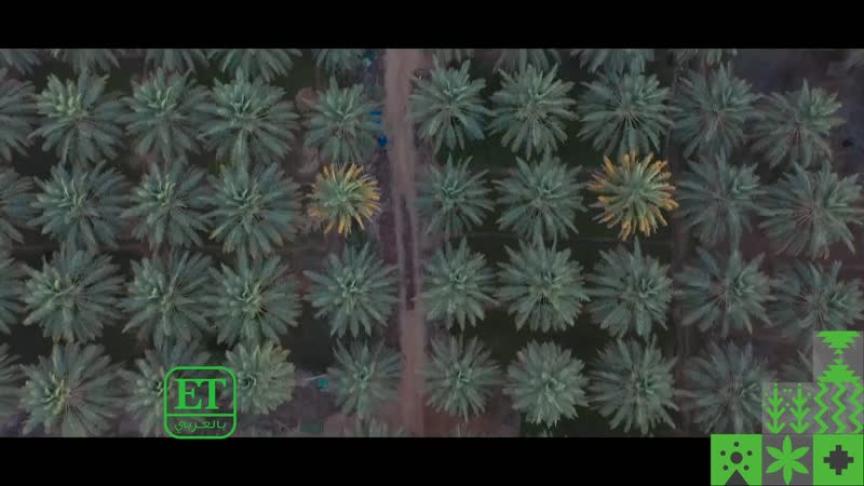 بدر آل زيدان دليل سياحي في السعودية 