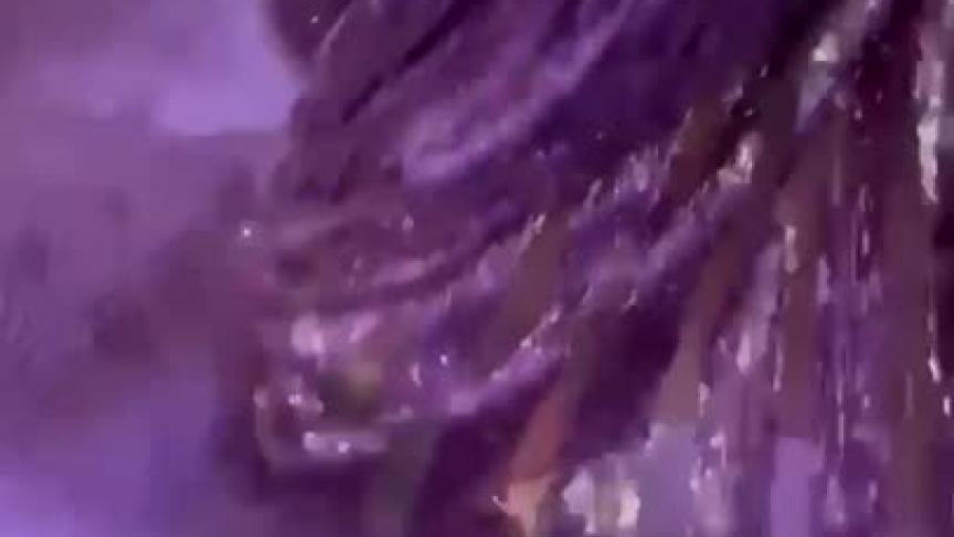ريا أبي راشد