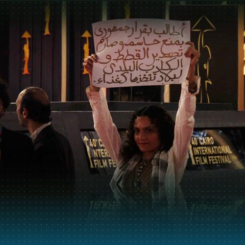 حملة ضد تصدير القطط والكلاب