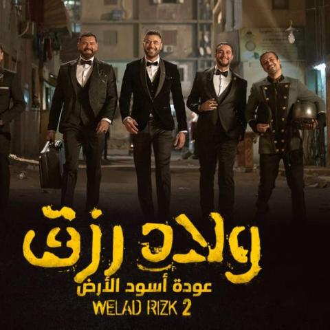 أسباب نجاح ولاد رزق ٢