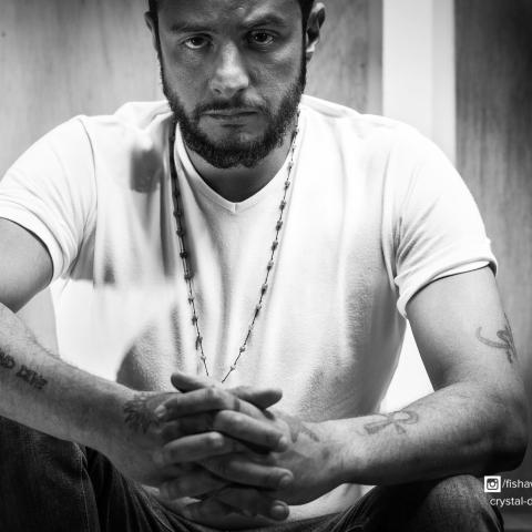 أحمد الفيشاوي