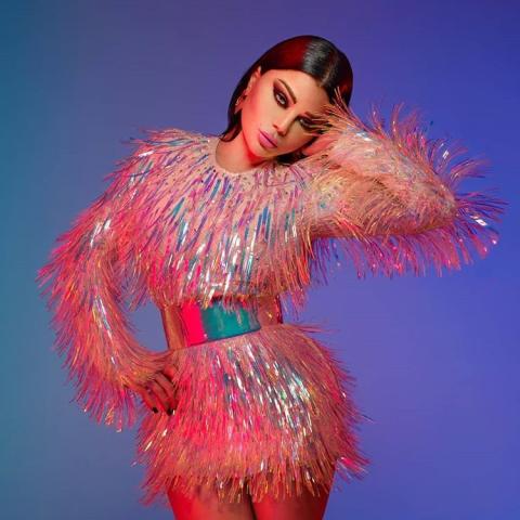 هيفاء وهبي - صورة من انستغرام @haifawehbe