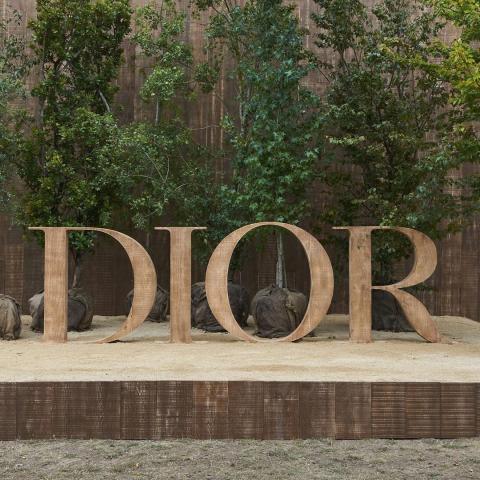عرض ديور في أسبوع باريس للموضة - صورة من إنستغرام @dior