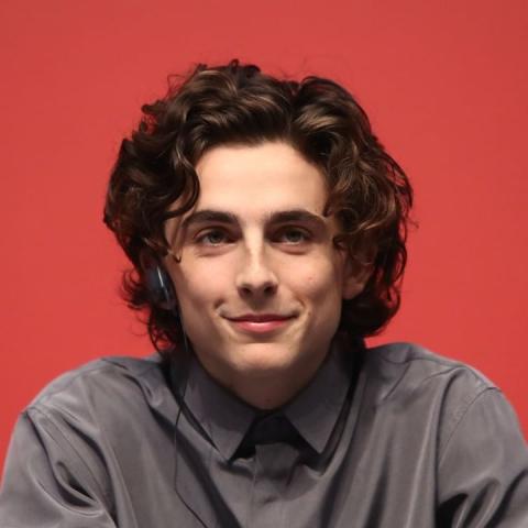 Timothee Chalamet خلال المؤتمر الصحفي لفيلم The King -انستغرام @gettyentertainment
