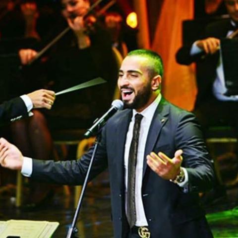 محمد الشرنوبي