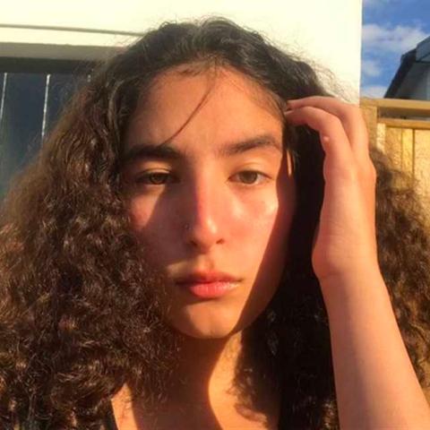 لينا الفيشاوي