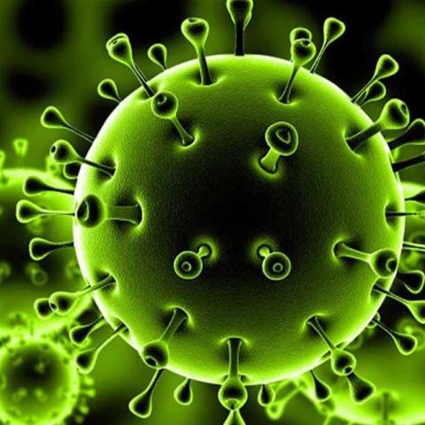 فيروس كورونا
