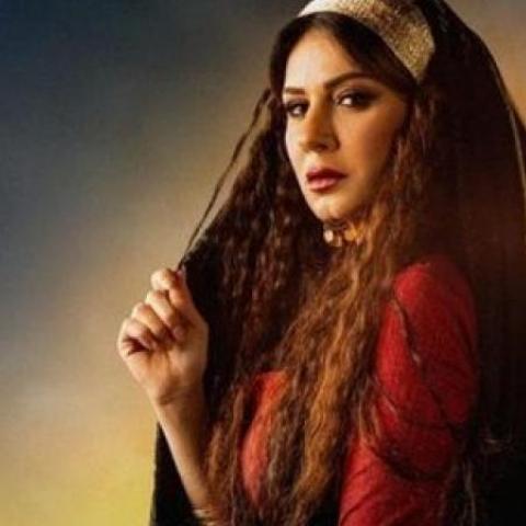 إشادة بأداء نجلاء بدر في "البرنس" والفتوة" - بوستر مسلسل الفتوة