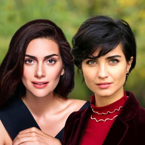 توبا - بيرجوزار