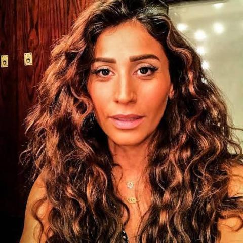 دينا الشربيني