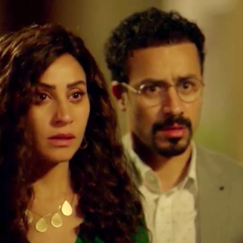 الحقائق تكشف والجمهور ينقسم حول دينا الشربيني