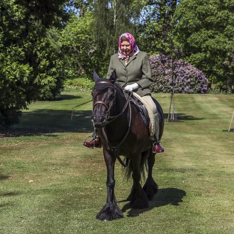 الملكة إليزابيث في أول ظهور علني لها بعد مرور 10 أسابيع -dailymail.co.uk