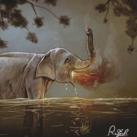 صورة تعبيرية من تويتر