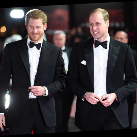 الأمير ويليام مع الأمير هاري