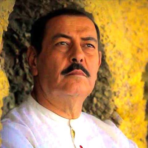 بوشناق في روسيا