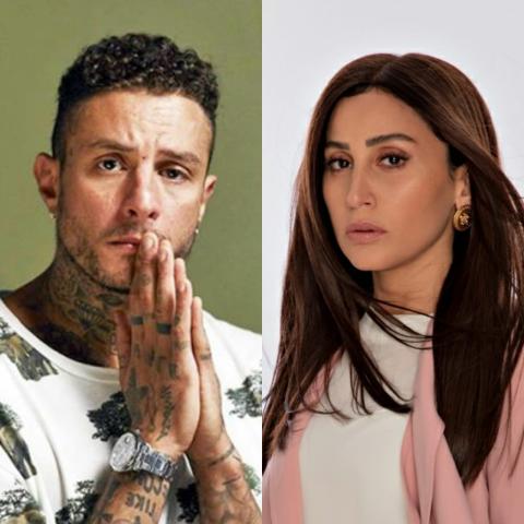 أحمد الفيشاوي ودينا الشربيني