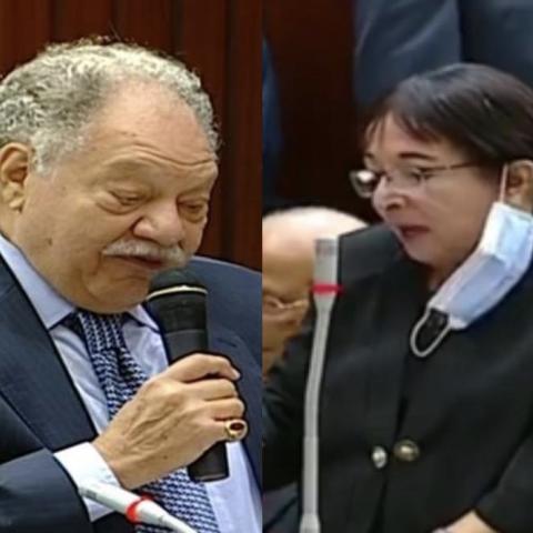 يحيى الفخراني وسميرة عبد العزيز