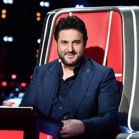 ملحم زين يهاجم المستشفيات والمختبرات اللبنانية