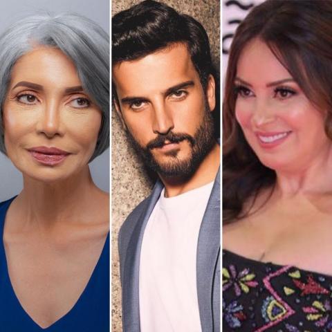 النجوم يتبعون سياسة الرد المباشر على المتنمرين