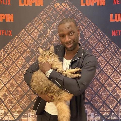 "Lupine" يصل إلى 70 مليون مشاهدة على نتفليكس بعد 28 يوم من عرضه