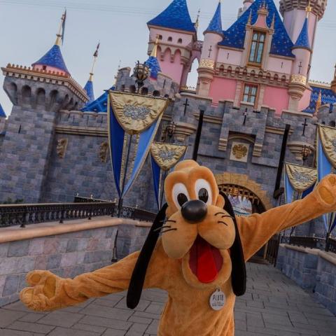 صورة من حساب &quot;ديزني لاند&quot;-انستغرام