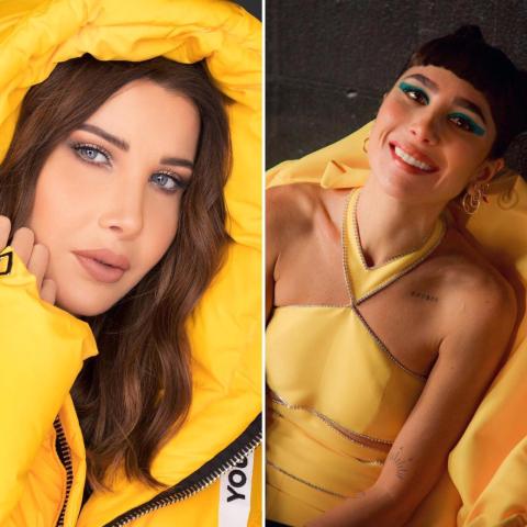 نانسي عجرم ودانا حوراني-صورة معدلة من السوشيال ميديا