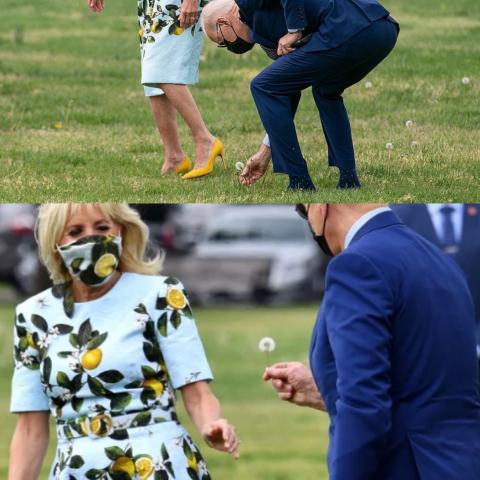 وردة جوبايدن لزوجته - من الفيديو