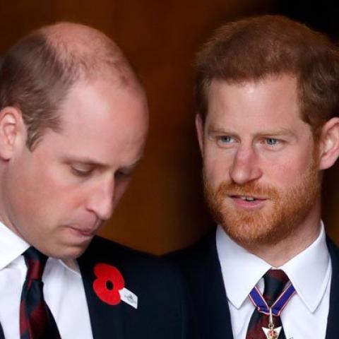 الأخوين الأمير هاري و الأمير ويليام