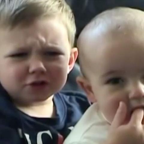 بيع فيديو Charlie Bit My Finger بمبلغ 500000 جنيه إسترليني