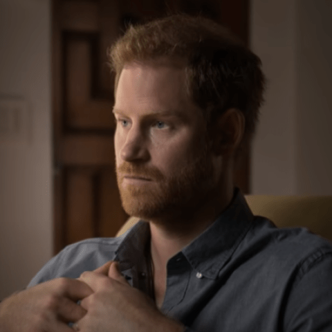 الأمير هاري في سلسلة وثائقي The ME You Can't See