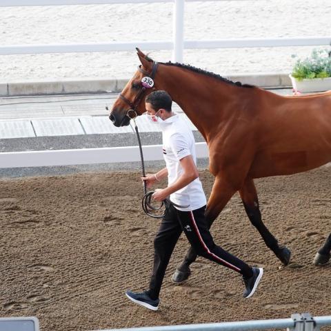 نايل نصار- انستغرام @nayelnassar