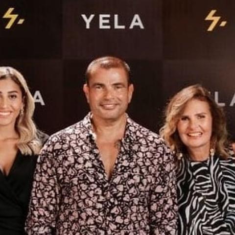 عمرو دياب ودينا الشربيني