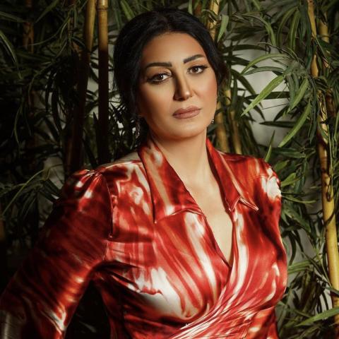 وفاء عامر - الصورة من انستغرام