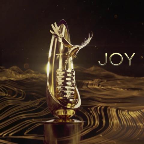تروفي جائزة Joy Awards - صورة من السوشيال ميديا