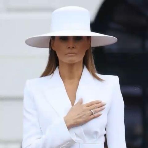 ميلانيا ترامب - صورة معدلة من السوشيال ميديا