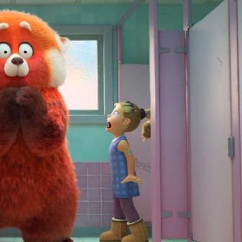 Turning Red - صورة من السوشيال ميديا