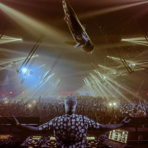 عودة مهرجان Coachella بعد غياب سنتين