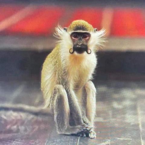 مشهد من مسلسل الكبير