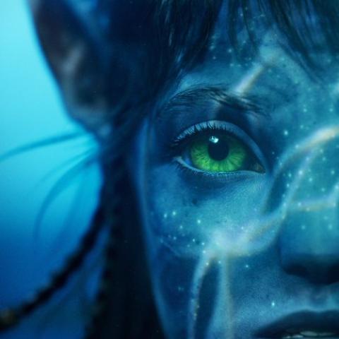 البوستر الدعائي لفيلم &quot;أفاتار&quot; - صورة من تويتر