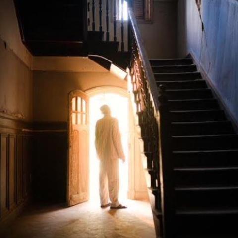 فيلم عقار ١٩ ب