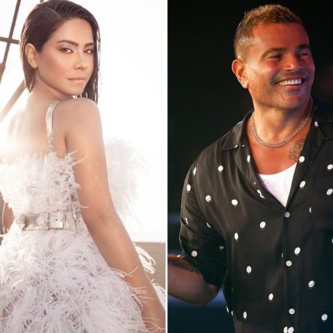 شيرين وعمرو دياب - صورة معدلة من السوشيال ميديا