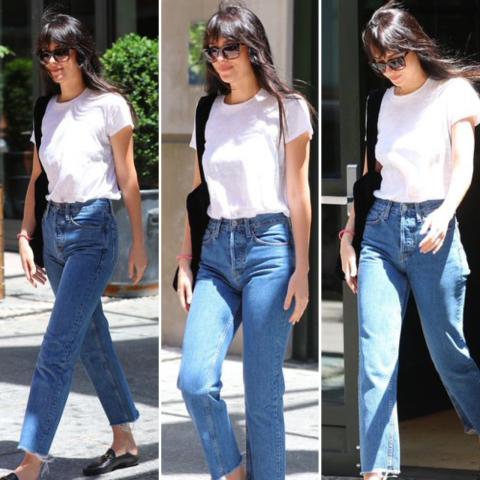 داكوتا جونسون - صورة معدلة من السوشيال ميديا