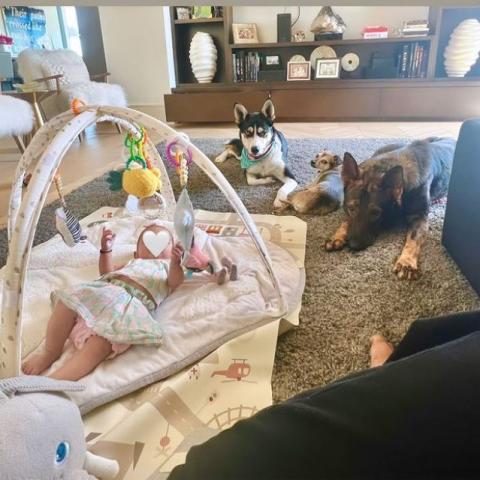 مالتي ابنة بريانكا شوبرا