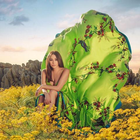 إليسا - صورة من انستقرام Mohamad seif