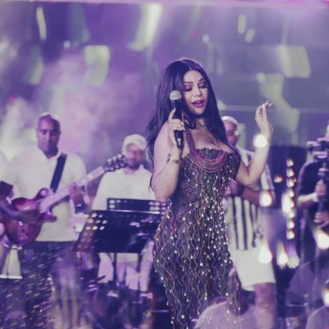 هيفاء وهبي - صورة من تويتر @JeffryMoukarzel